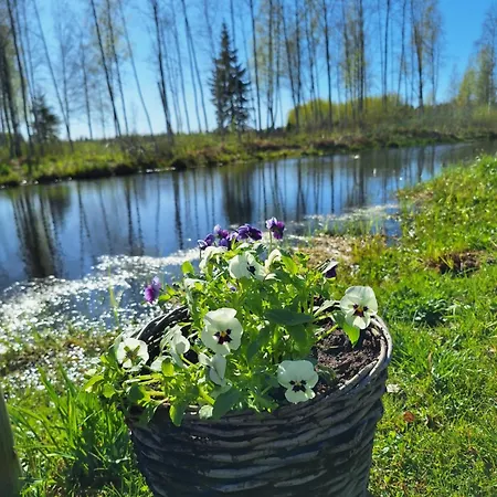 Metsavahi Puhketalu Holiday home