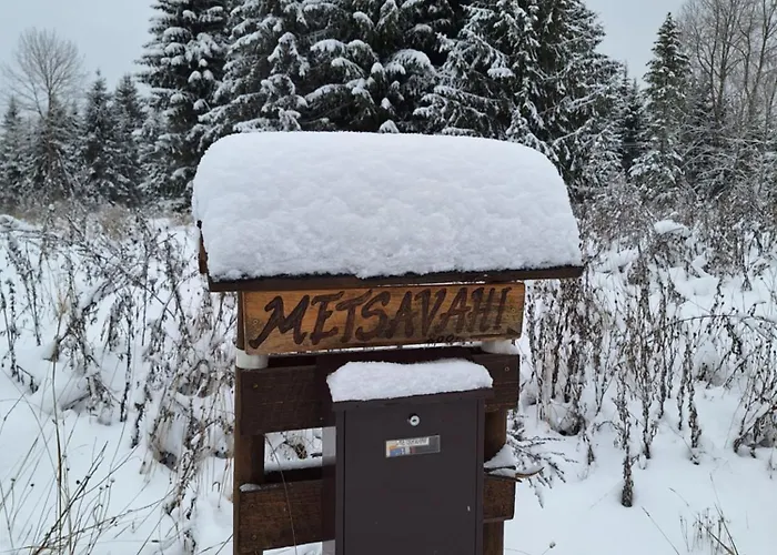 Vikendica Metsavahi Puhketalu