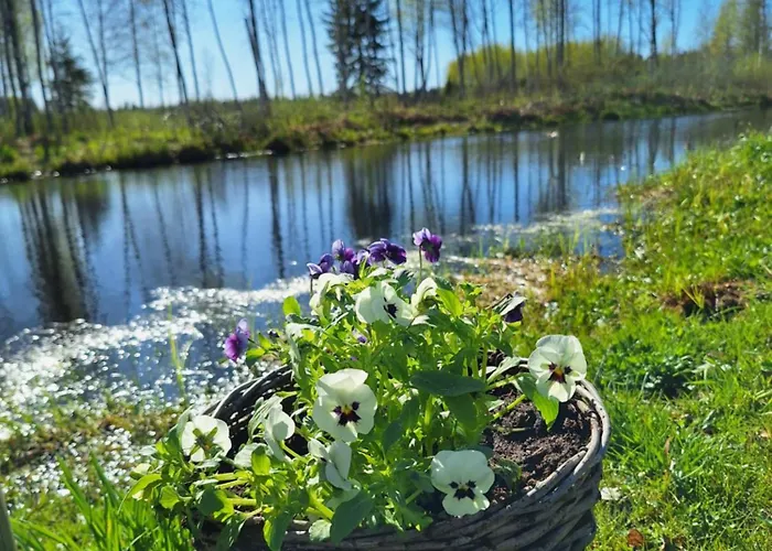 Metsavahi Puhketalu Vikendica